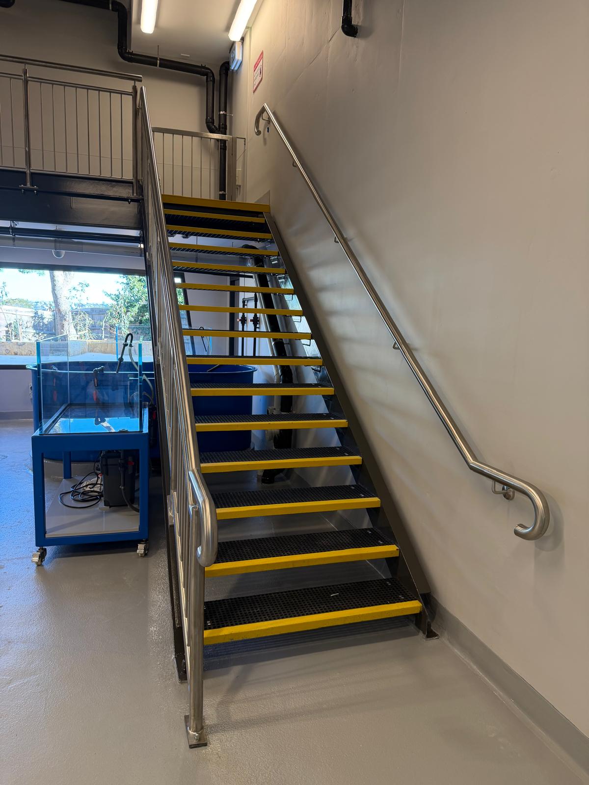 Steel stairs with stainless steel balustrades and handrails at Taronga Zoo